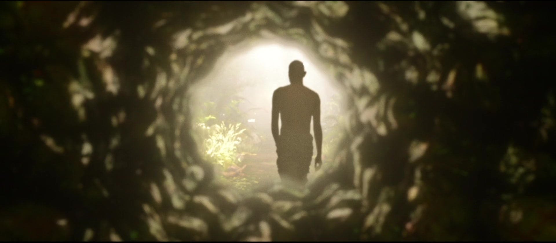 YELLOW — Beanstalk — Forest portal