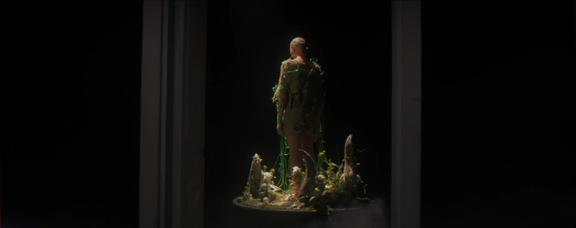 Life within the doorway