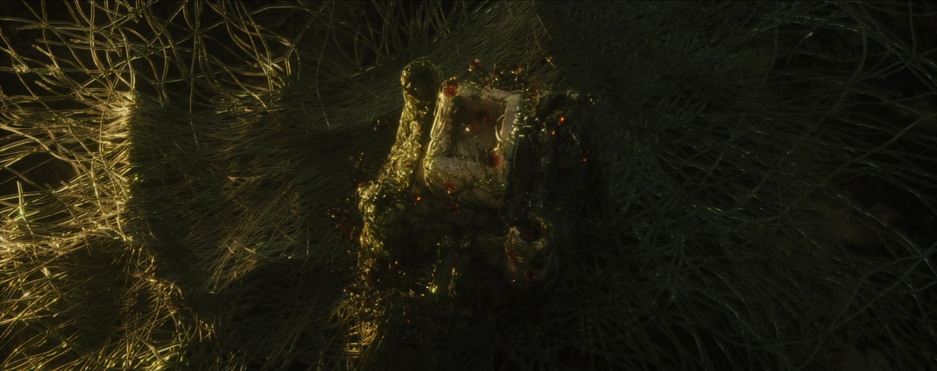 A body traced in roots