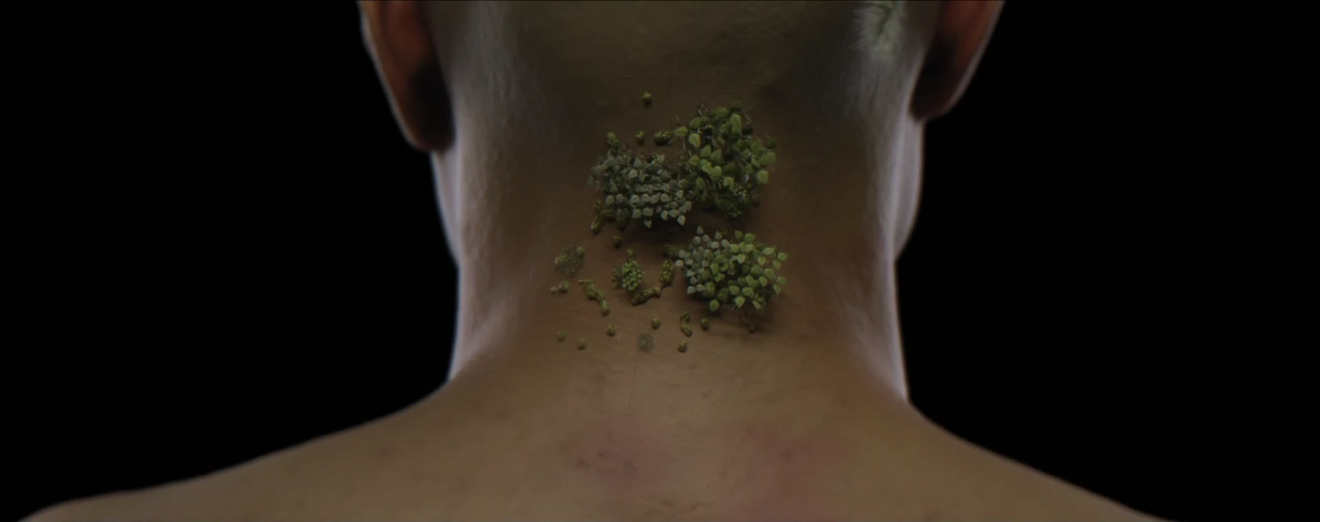 Growth beneath the skin
