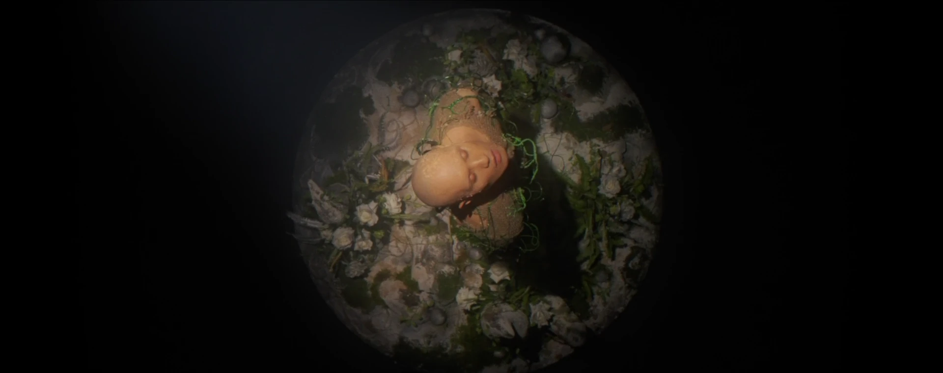 A world cradled in sleep
