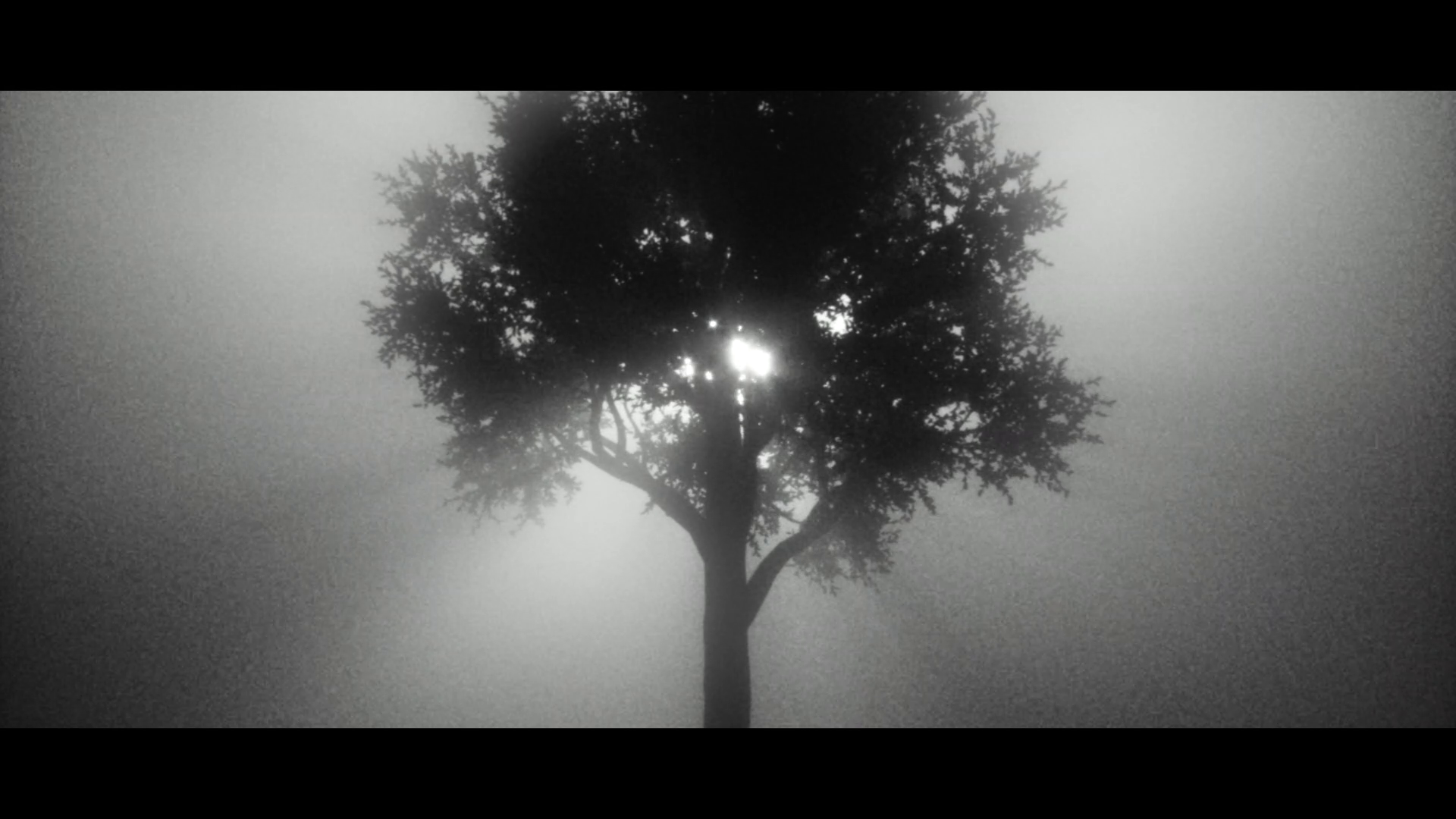 A suspended tree