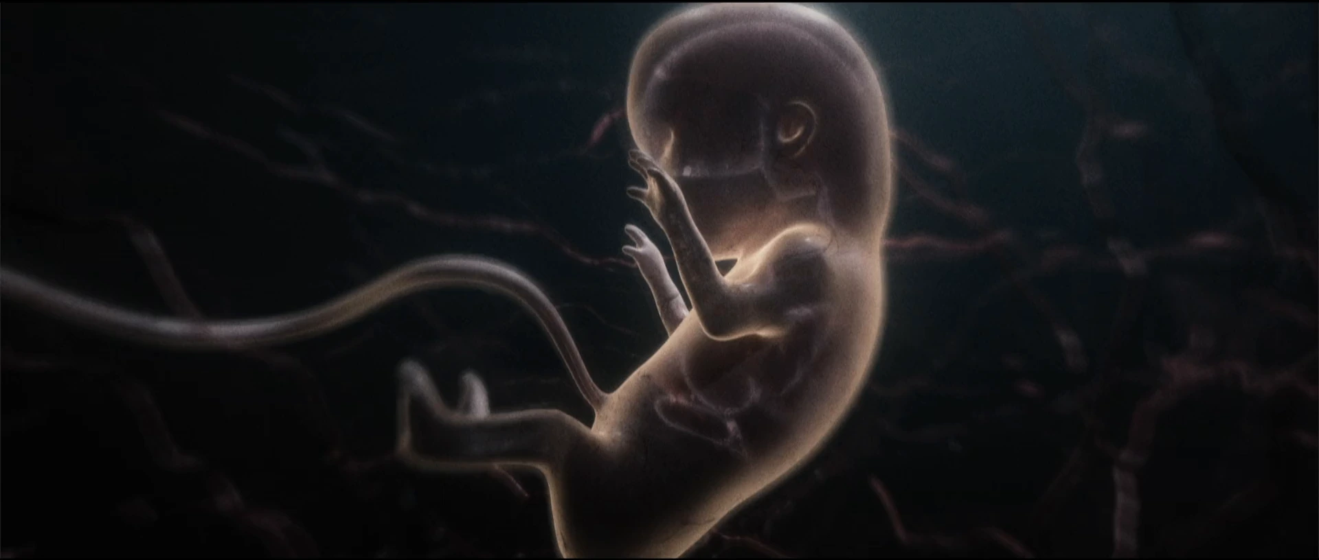 Let Go — A life taking shape