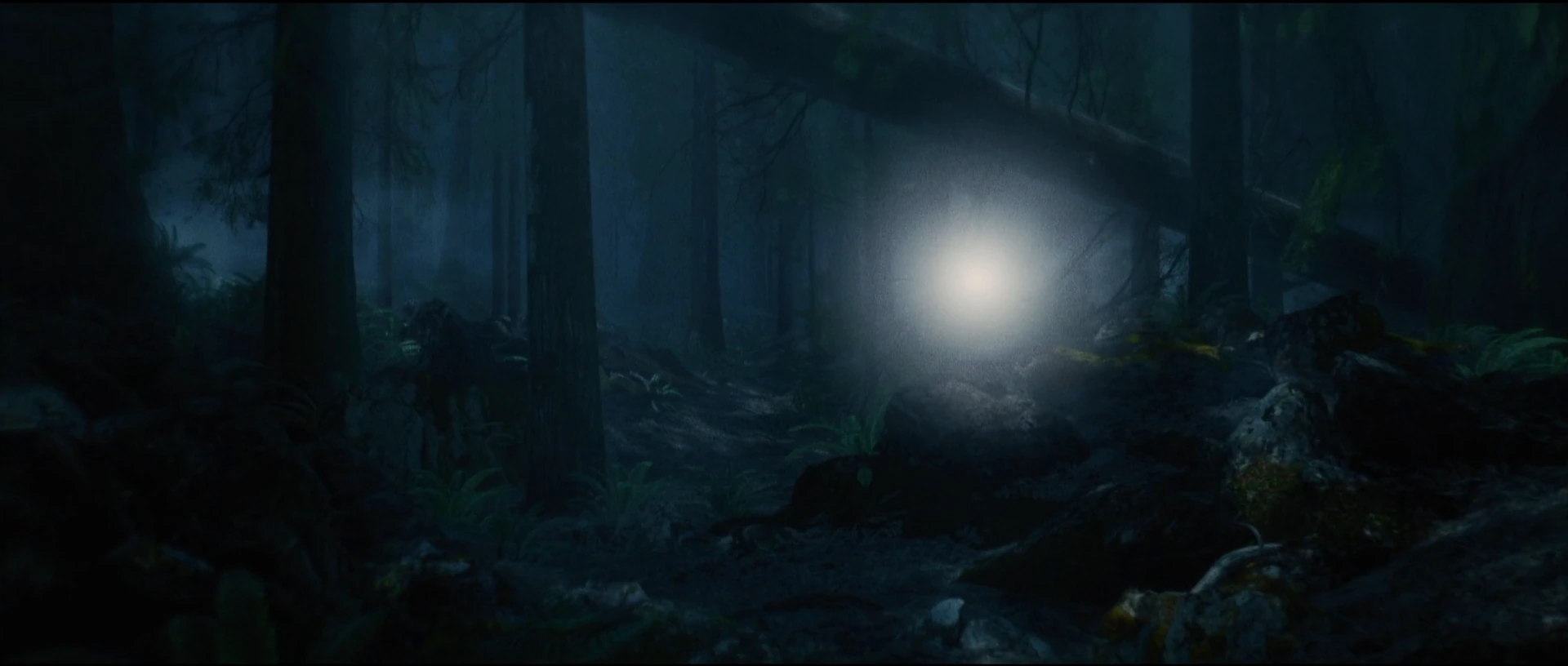 Let Go — Through the forest